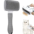 Self Cleaning Pet Grooming Brush